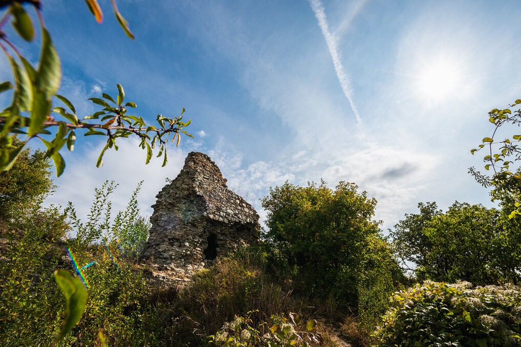 Steinreste einer Burg von Sträuchern umwachsen