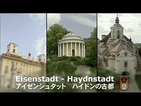 videojs487