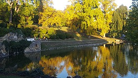 Teich, in dem sich herbstlich verfärbte Bäume spiegeln.