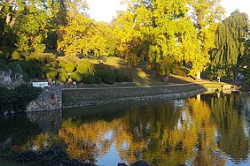 Teich, in dem sich herbstlich verfärbte Bäume spiegeln.