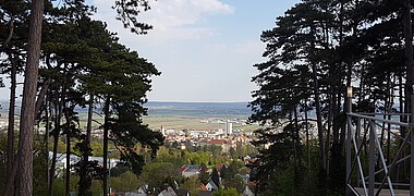 Ausblick von einer bewaldeten Anhöhe auf eine kleine Stadt.