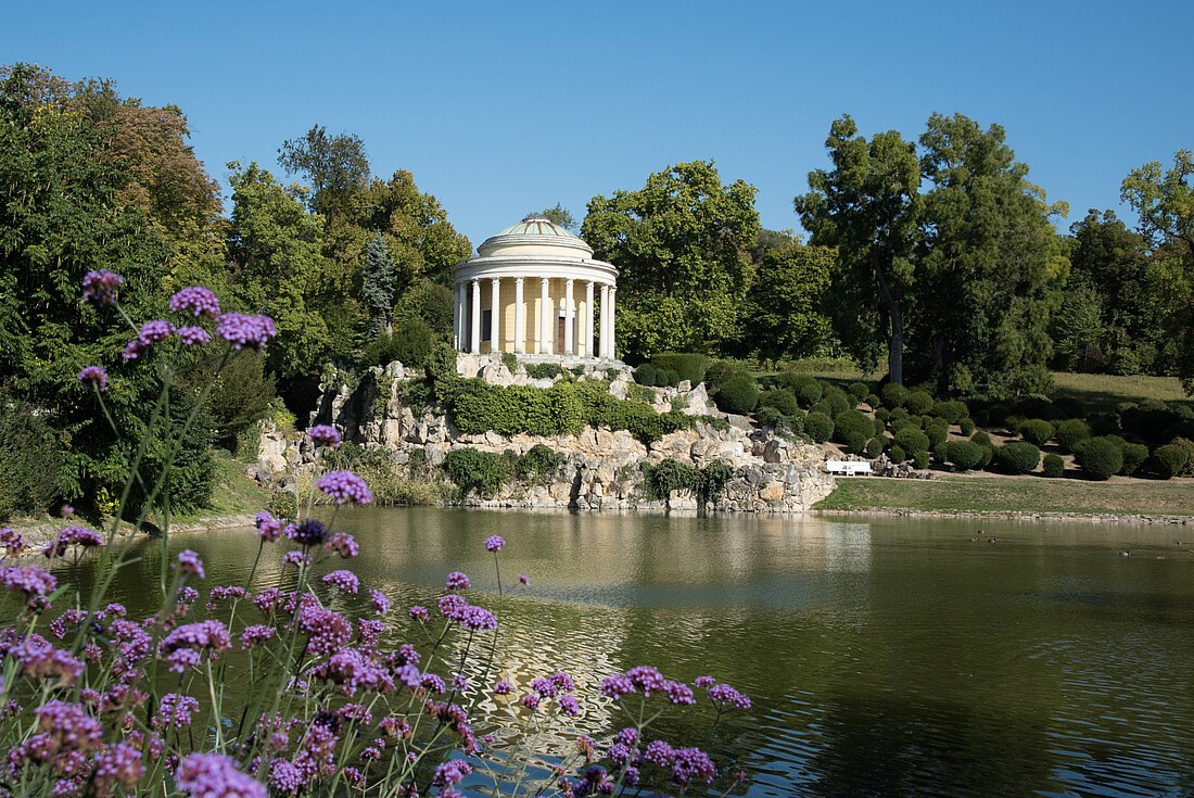 blühende Pflanzen vor dem Leopoldinenteich mit Leopoldinentempel (Rundtempel) im Hintergrund