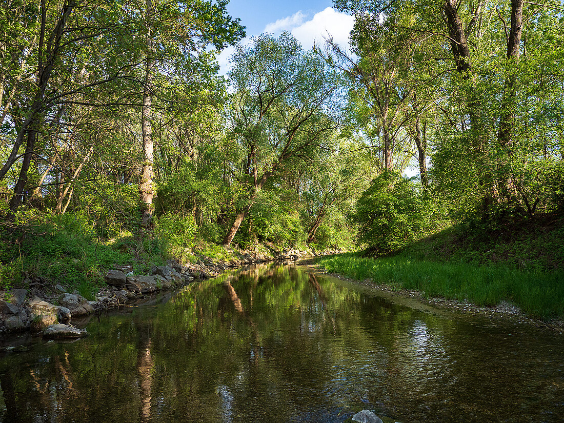 Flacher Fluss mit grünem Ufer.