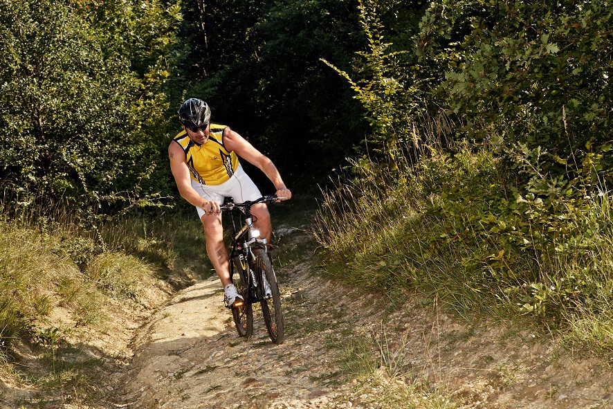 Mann fährt auf einem Mountainbike durch einen Wald