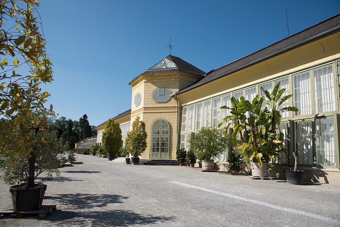 Gelbe, historische Gewächshäuser mit großen Glasfronten und Pflanzen davor