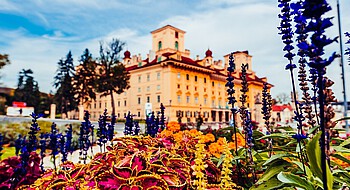 Gelbes Barockschloss mit zwei Türmen und Herbstblumen im Vordergrund