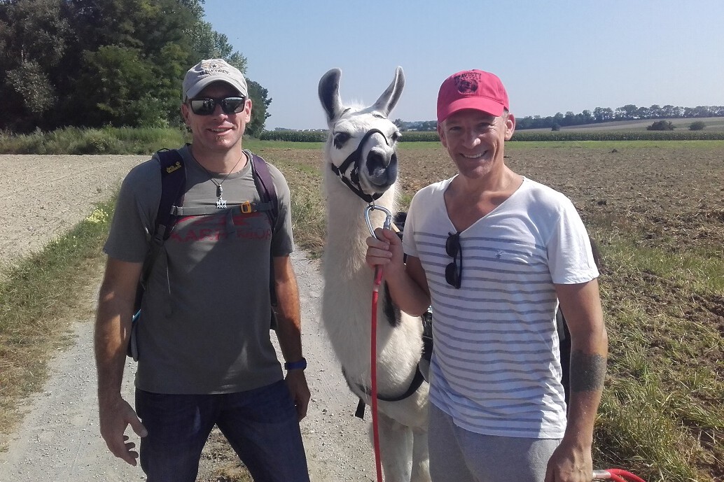 Zwei Männer mit Schildkappen und ein weißes Lama