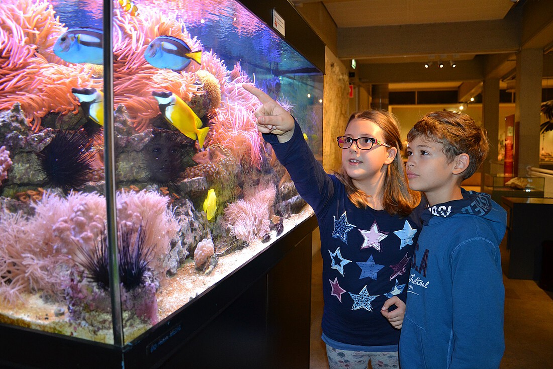 Ein Mädchen und ein Junge stehen vor einem Meerwasseraquarium mit Fischen und Korallen