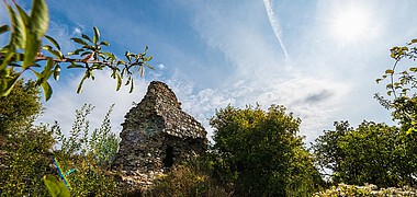 Steinreste einer Burg von Sträuchern umwachsen