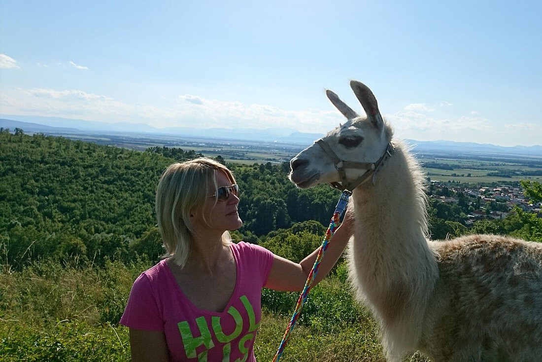 Blonde Frau mit pink T-Shirt und Lama an der Leine