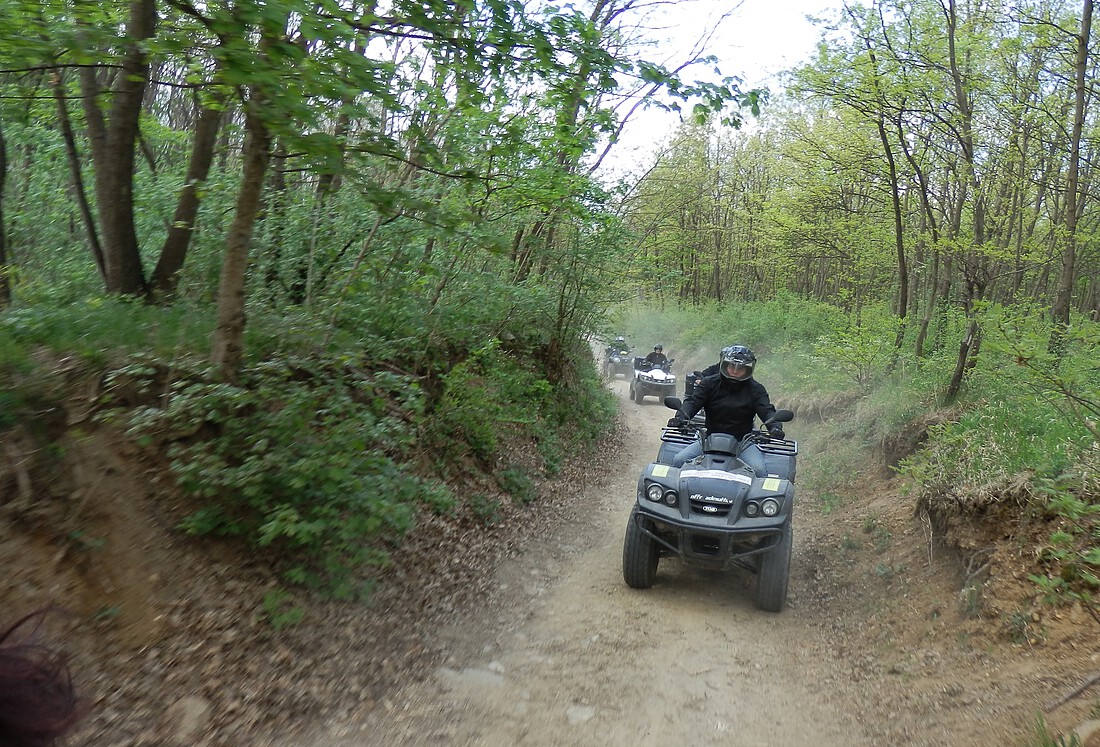 Personen fahren mit Quads im Wald