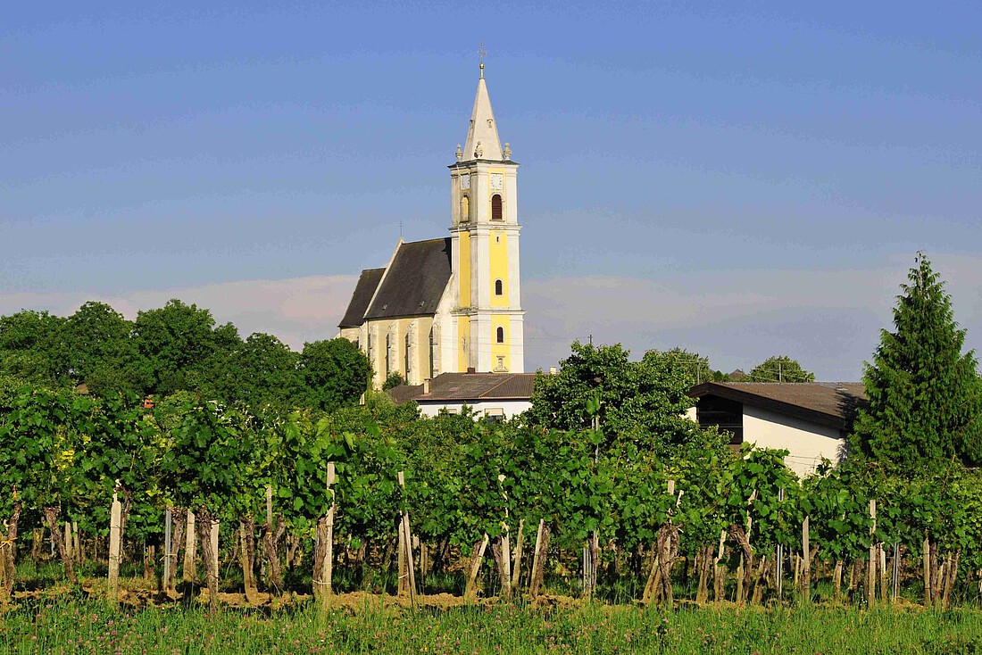 Kleine Kirche auf einer Anhöhe über grünen Weingärten