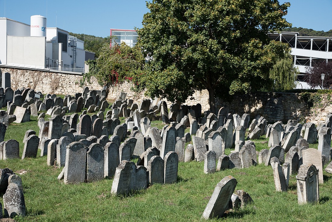 Jüdischer Friedhof mit alten Grabsteinen von Gras umgeben