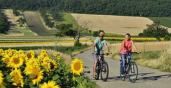 Ein Mann und eine Frau fahren mit Rädern an einem Sonnenblumenfeld vorbei