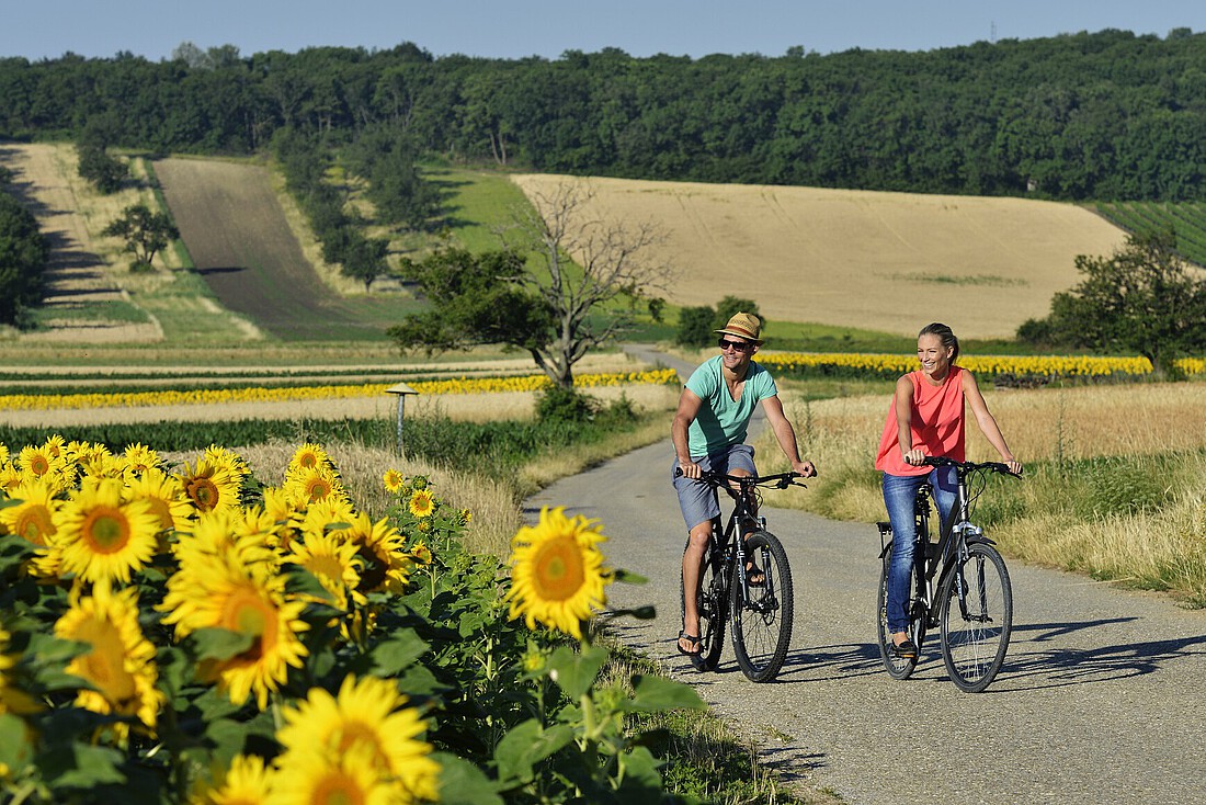 Ein Mann und eine Frau fahren mit Rädern an einem Sonnenblumenfeld vorbei