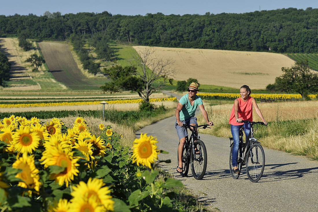 Ein Mann und eine Frau fahren mit Rädern an einem Sonnenblumenfeld vorbei