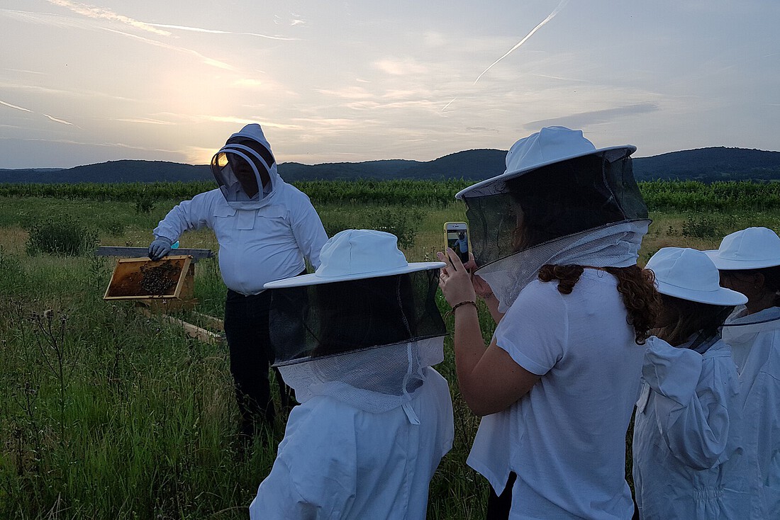 Mann mit Imkermakse zeigt vier Kindern mit Imkerhüten eine Bienenwabe