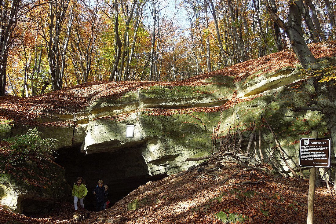 Kleine Höhle in einem Laubwald