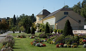 Gepflegtes Blumenbeet mit bunten Blumen, im Hintergrund historisches Gewächshaus