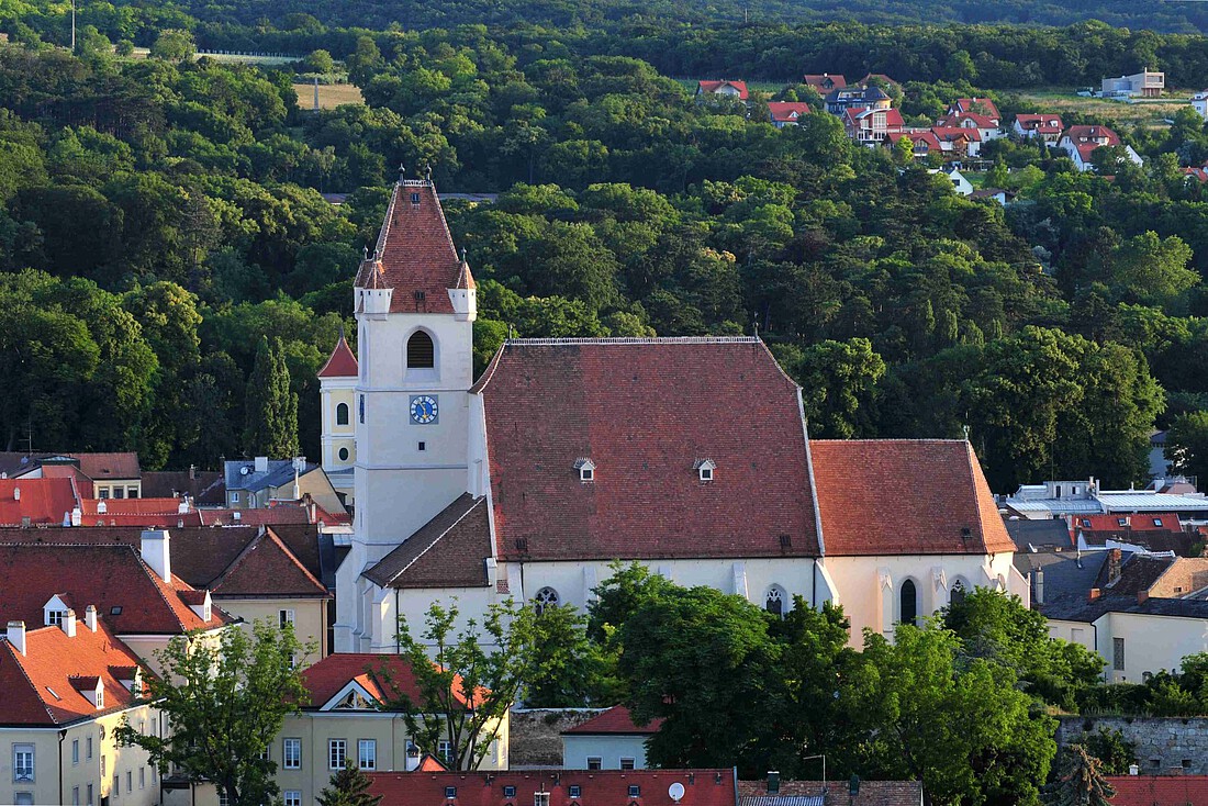 Gotische Kirche mit hohem Turm umgeben von Häusern und Bäumen