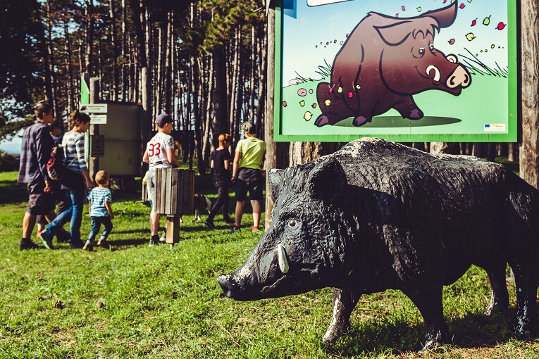 Personengruppe beiWildschwein-Skulptur und Info-Tafel in einem Hochwald