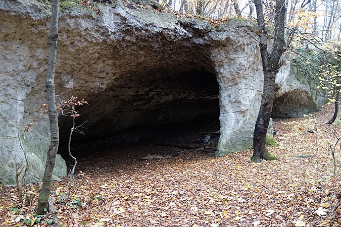 Eingang zu einer Naturhöhle aus Stein im herbstlichen Laubwald