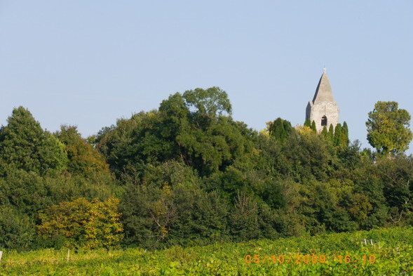 Steinerne Turmspitze hinter blaubter Waldhecke