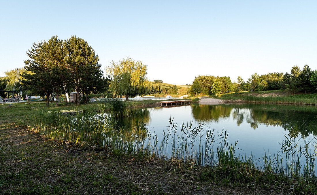 Badeteich umgeben von Wiese und Bäumen