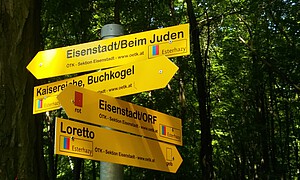 Wegweiser mit vier Schildern Wanderwege im Leithagebirge
