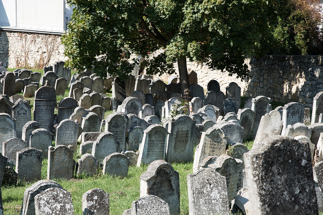 Alte Grabsteine eines jüdischen Friedhofes von Gras umgeben