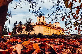 Gelbes Barockschloss mit zwei Türmen mit herbstlichen Blättern im Vordergrund